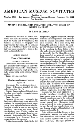 AMERICAN MUSEUM NOVITATES Published by Number 1266 the AMERICAN MUSEUM of NATURAL HISTORY December 10, 1944 New York City