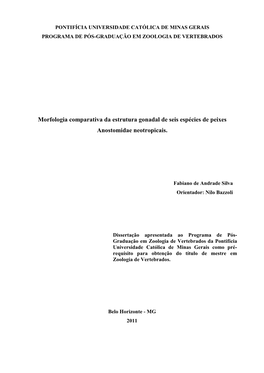 Morfologia Comparativa Da Estrutura Gonadal De Seis Espécies De Peixes Anostomidae Neotropicais