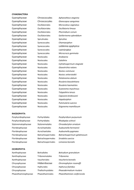 Cyanobacteria