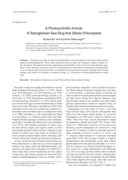 A Photosynthetic Animal: a Sacoglossan Sea Slug That Steals Chloroplasts