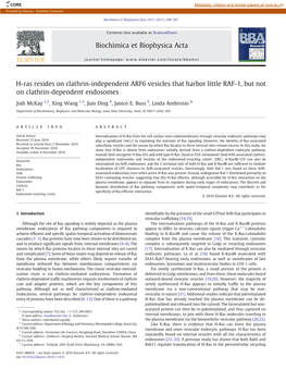 H-Ras Resides on Clathrin-Independent ARF6 Vesicles That Harbor Little RAF-1, but Not on Clathrin-Dependent Endosomes