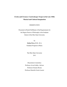 Stefan Firca Dissertation