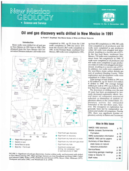 Oil and Gas Discouery Wells Drilled in New Mexico in 1Gg1