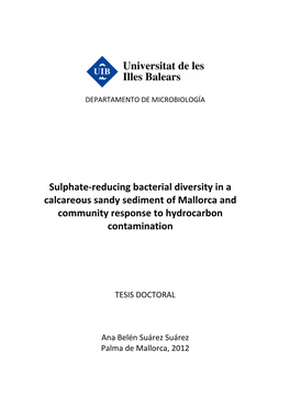 Sulphate-Reducing Bacterial Diversity in a Calcareous Sandy Sediment Of