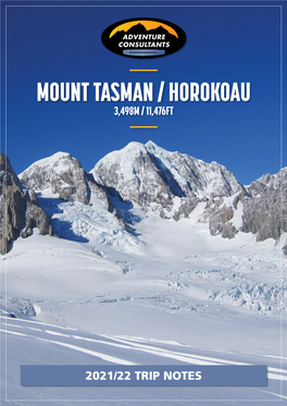 Mount Tasman Guided Ascent 2021/22