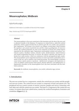 Mesencephalon; Midbrain Mesencephalon; Midbrain