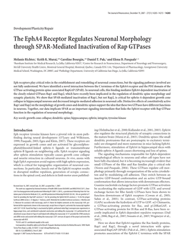 The Epha4 Receptor Regulates Neuronal Morphology Through SPAR-Mediated Inactivation of Rap Gtpases