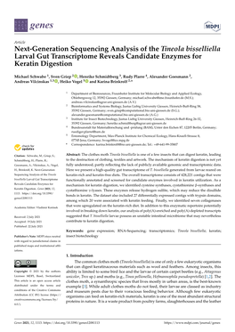 Next-Generation Sequencing Analysis of the Tineola Bisselliella Larval Gut Transcriptome Reveals Candidate Enzymes for Keratin Digestion