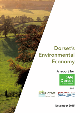 Dorset Environmental Economy