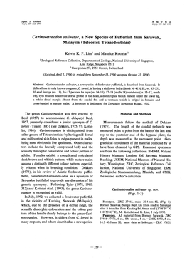 Carinotetraodon Salivator, a New Species of Pufferfish from Sarawak, Malaysia (Teleostei: Tetraodontidae)