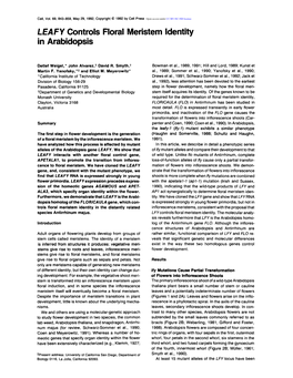 LEAFY Controls Floral Meristem Identity in Arabidopsis