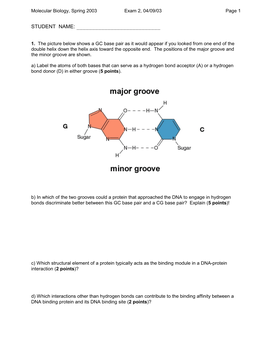 Molecular Biology, Spring 2003 Exam 2, 04/09/03 Page 1