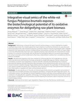 Integrative Visual Omics of the White-Rot Fungus Polyporus Brumalis