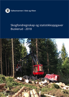 Skogfondregnskap Og Statistikkoppgaver 2018 – Buskerud