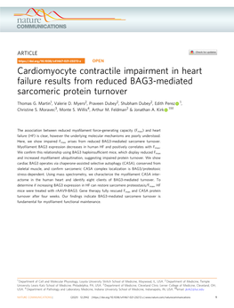 Cardiomyocyte Contractile Impairment in Heart Failure Results from Reduced BAG3-Mediated Sarcomeric Protein Turnover