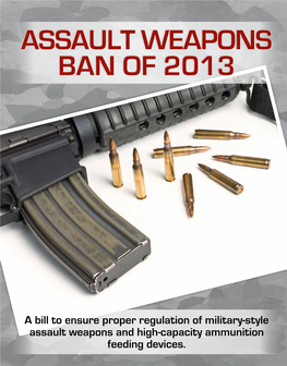Assault Weapons Ban of 2013