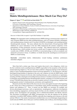 Matrix Metalloproteinases: How Much Can They Do?