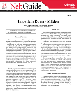 Impatiens Downy Mildew Kevin A