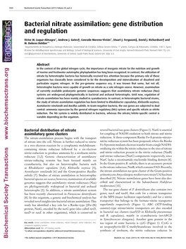 Bacterial Nitrate Assimilation: Gene Distribution and Regulation