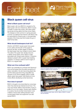 Black Queen Cell Virus