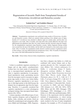 Regeneration of Juvenile Thalli from Transplanted Soredia of Parmotrema Clavuliferum and Ramalina Yasudae