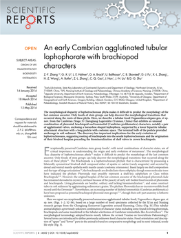 An Early Cambrian Agglutinated Tubular Lophophorate with Brachiopod Characters