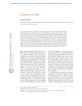 Evolution of Cilia