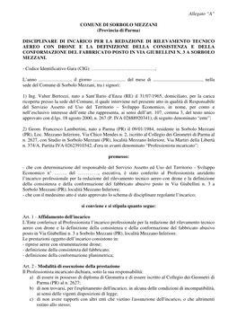 Allegato “A” COMUNE DI SORBOLO MEZZANI (Provincia Di Parma) DISCIPLINARE DI INCARICO PER LA REDAZIONE DI RILEVAMENTO TECNICO