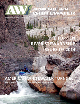 The Top Ten River Stewardship Issues of 2014