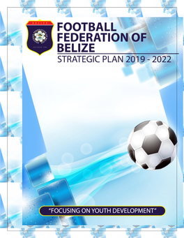 November 22, 2018 FFB Strategic Plan 2019 - 2022 Page 1