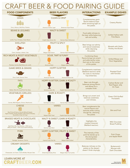 Craft Beer & Food Pairing Guide