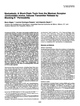 Noxiustoxin, a Short-Chain Toxin from the Mexican Scorpion Cenfruroides Noxius, Induces Transmitter Release by Blocking K+ Permeability