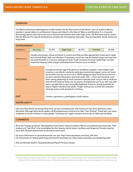 Mexican Red-Knee Tarantula Concise & Precise Care Sheet Glaking