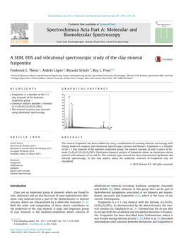 A SEM, EDS and Vibrational Spectroscopic Study of the Clay Mineral Fraipontite ⇑ Frederick L