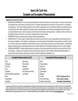 Insect Life Cycle Sort: Complete and Incomplete Metamorphosis