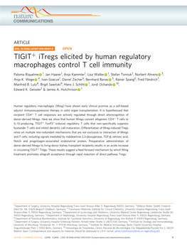 TIGIT+ Itregs Elicited by Human Regulatory Macrophages Control T Cell Immunity