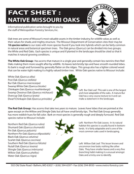 Missouri Native Oak Trees