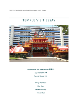 Temple Visit Essay