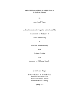 Developmental Signaling by Noggin and Wnt in the Frog Xenopus By