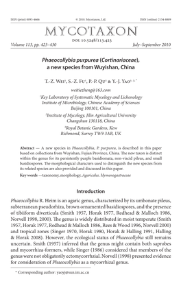 <I>Phaeocollybia Purpurea</I> (<I>Cortinariaceae</I>), a New