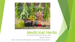 Medicinal Herbs