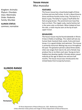 House Mouse Mus Musculus ILLINOIS RANGE