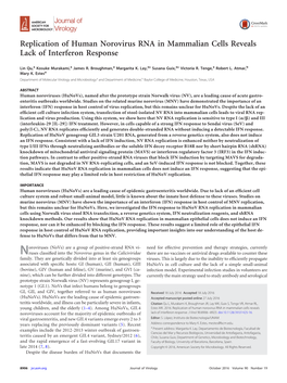 Replication of Human Norovirus RNA in Mammalian Cells Reveals Lack of Interferon Response