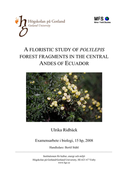A Floristic Study of Polylepis Forest Fragments in the Central Andes of Ecuador