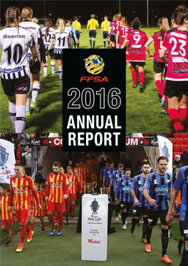 FFSA Annual Report 2016