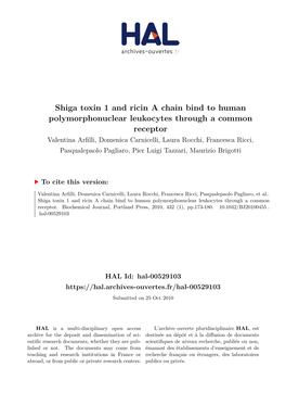 Shiga Toxin 1 and Ricin a Chain Bind to Human Polymorphonuclear