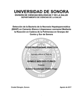 Universidad De Sonora División De Ciencias Biológicas Y De La Salud Departamento De Ciencias De La Salud