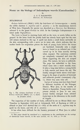 Notes on the Biology of Indomalayan Weevils (Curculionidae) *) by L