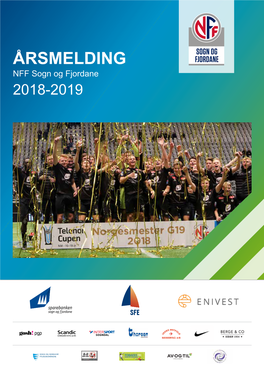 Årsmelding 2018-2019