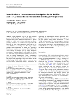 Identification of the Translocation Breakpoints in the Ts65dn And